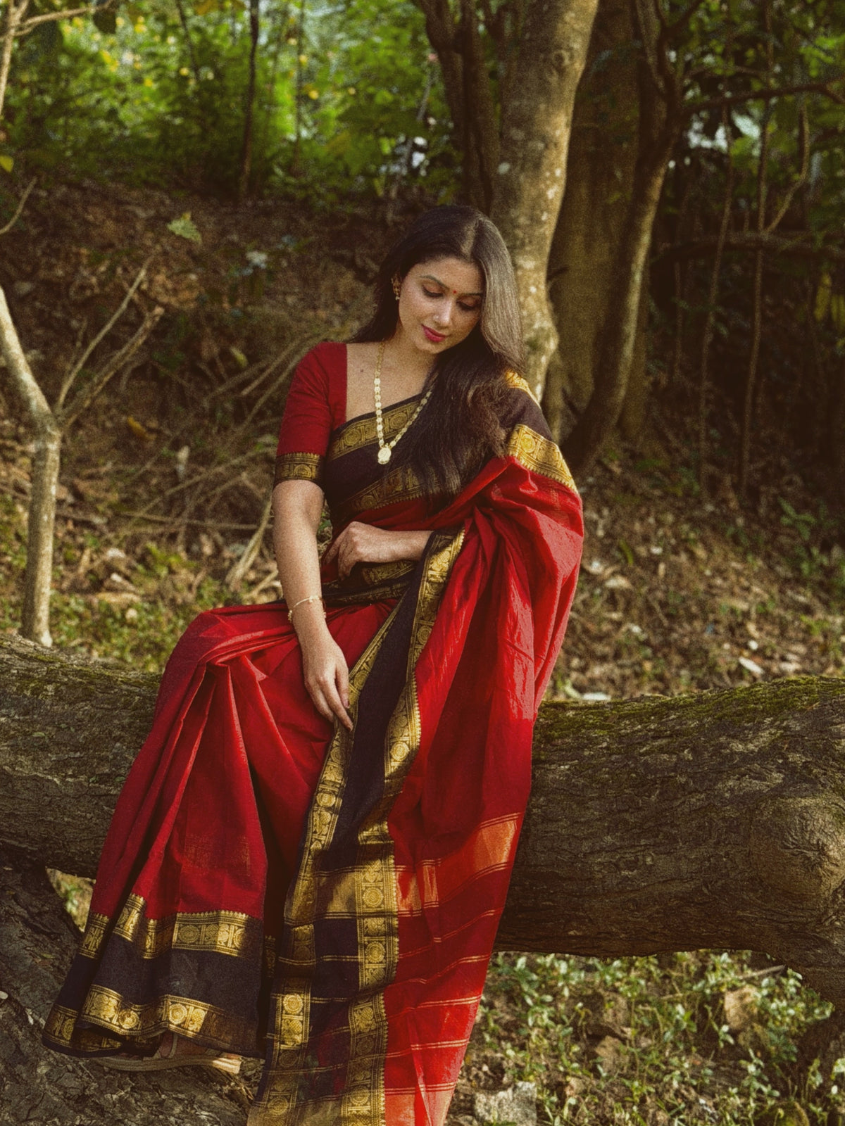 KANCHI COTTON MAROON BLACK SAREE-TBS26KCB