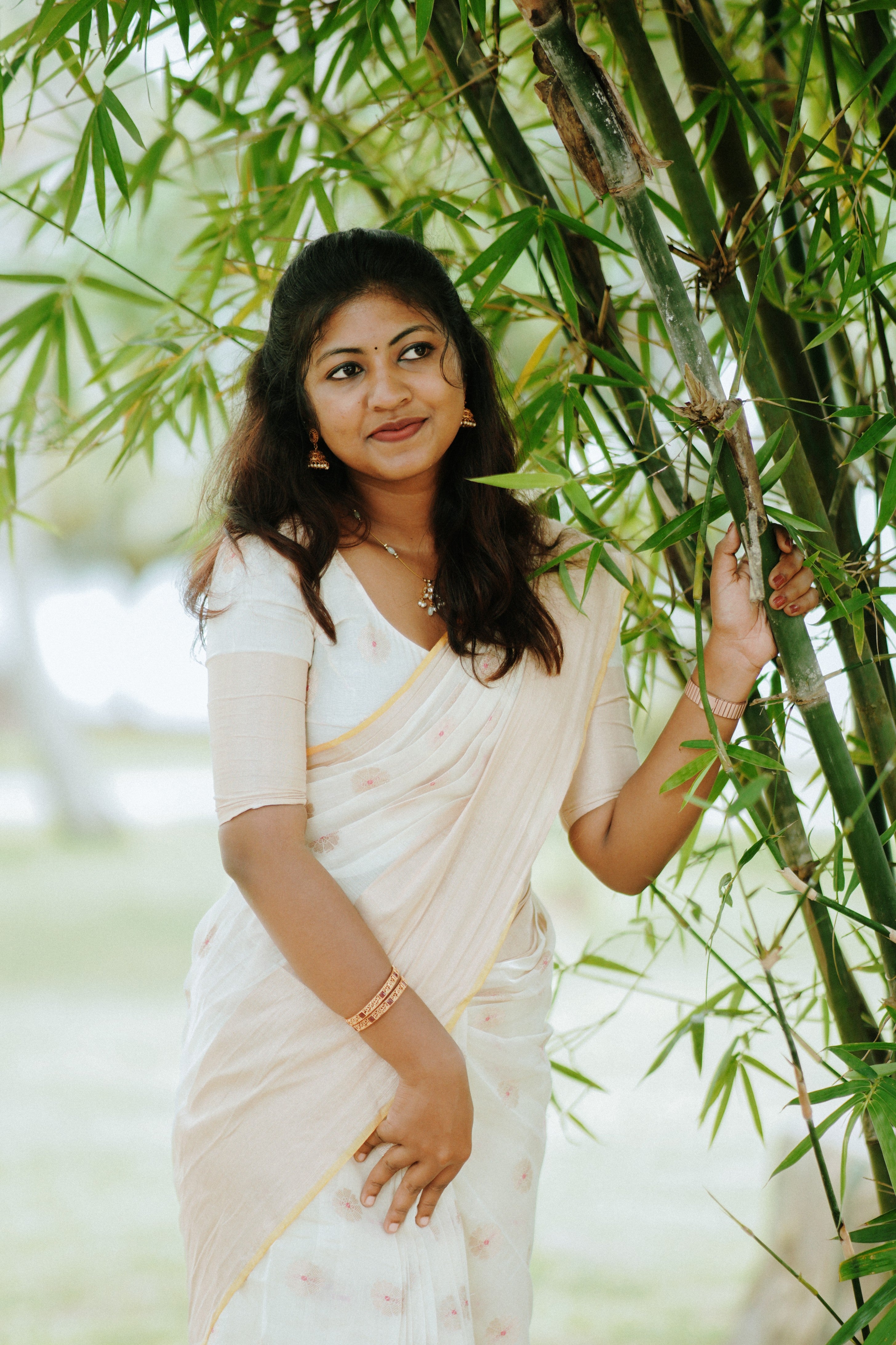 BANARASI COTTON SILK SAREE